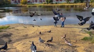 Сергей Цупиков. Проходят Годы.