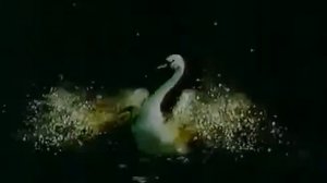 Реклама Россия щедрая душа Совершенство 2002