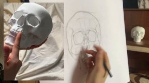 ОСНОВЫ РИСУНКА: пластическая анатомия ЧЕРЕПА