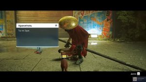 Стрей перпетуум