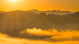 Удивительная природа  ч.9