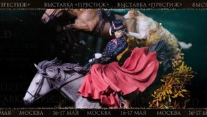 Выставка "Престиж" май 2026