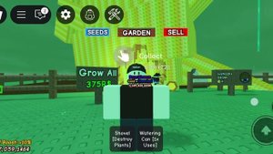 Боно блосом