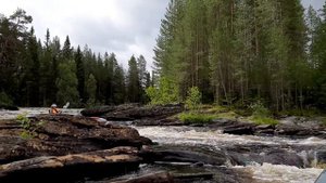 Шуя 2020. Порог Сосновый. Я.