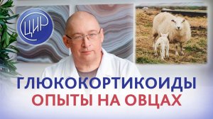 Глюкокортикоиды при беременности, влияние глюкокортикоидов на плод и на здоровье ребёнка в будущем.