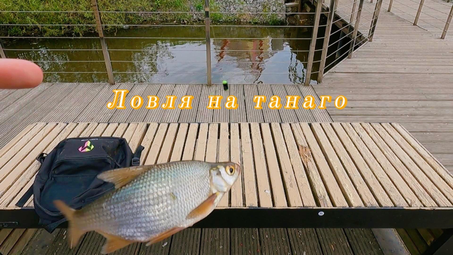 Ловим на танаго. Неожиданный клев на танаго.....