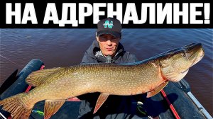 РУКИ ДРОЖАТ! АДРЕНАЛИН В КРОВИ! КЛЮЮТ БОЛЬШИЕ ЩУКИ!