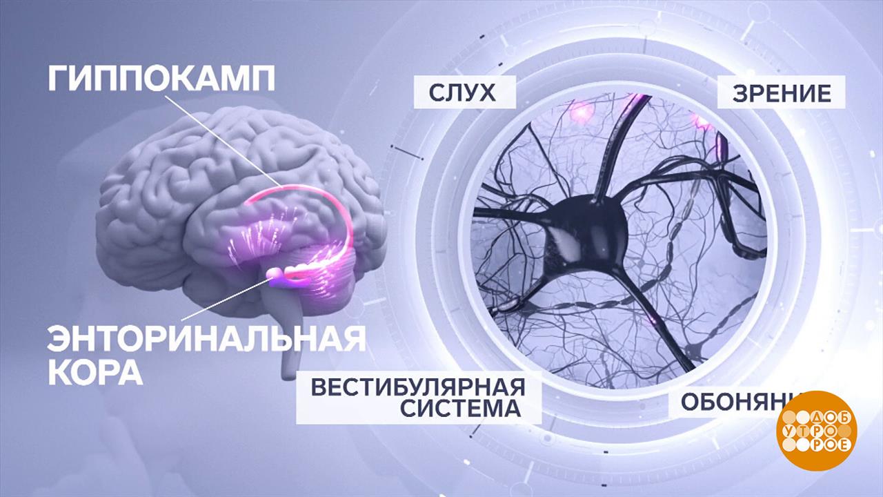 У каждого - свой компас! В голове... Доброе утро. Суббота. Фрагмент выпуска от 09.08.2025