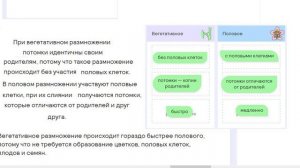 14 Вегетативное размножение растений