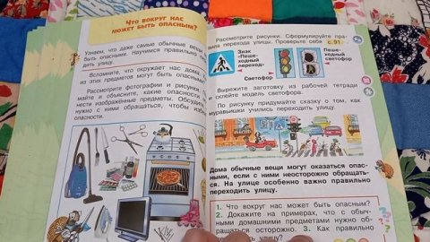 окружающий мир Плешаков