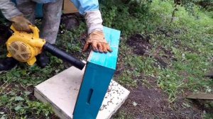 Пришла к нам осенняя погода.Снимаем магазины...