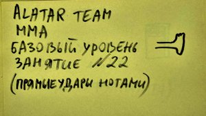 22 занятие по ММА (смешанные единоборства) Alatar team ᴸⁱᴹᵉ Денис Алаторцев