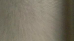 Разоблачение на полухвостку