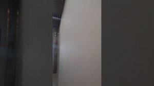 Московский район / Санкт-Петербург