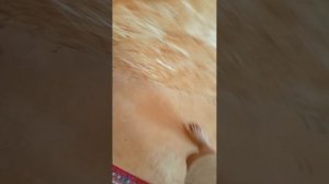 1000001308.mp4
