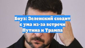 Боуз: Зеленский сходит с ума из-за встречи Путина и Трампа