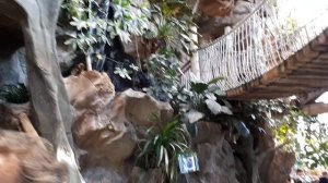 Мини-зоопарк.