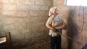 Нас за пароли .