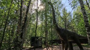 Динопарк - Петрозаводск