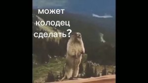 Абиссинская скважина