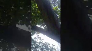 Стрим на даче подпишитесь на меня. Скоро я буду сниматьтна пс 4 фнаф 9