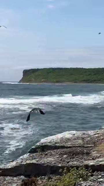 мыс Вятлина, Русский остров смотреть онлайн
