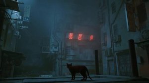 Стрей перпетуум 1