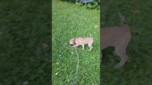 Первое утро Юны в Академе