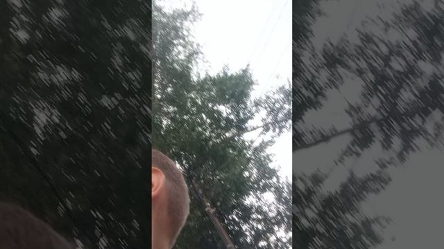 аномалия