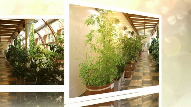 Поездка  В музеЙ-заповедник «Царицыно"