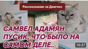 САМВЕЛ АДАМЯН, ПУСИК, ЧТО БЫЛО НА САМОМ ДЕЛЕ