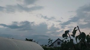 Попрощались с бассейном. Дела огородные. Скучать некогда.