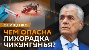 Геннадий Онищенко. Лихорадка чикунгунья, стандарты школьной формы и реестр врачей-блогеров