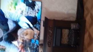 Не верьте им