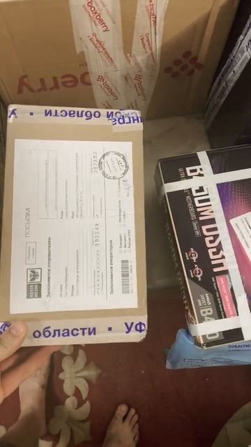 Анонс стрима #26. Что сегодня чиним или тестируем? В 14:00 стрим смотреть онлайн