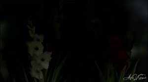 Белль полюбила чудовище. Баллада