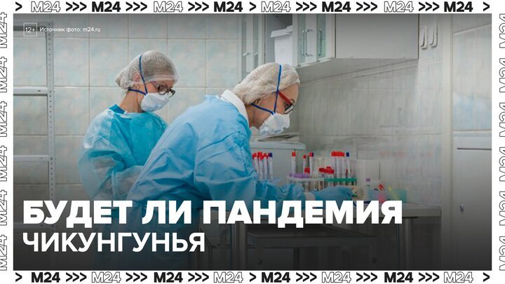 Вирусолог оценил риски начала пандемии в России из-за вируса чикунгунья - Москва 24