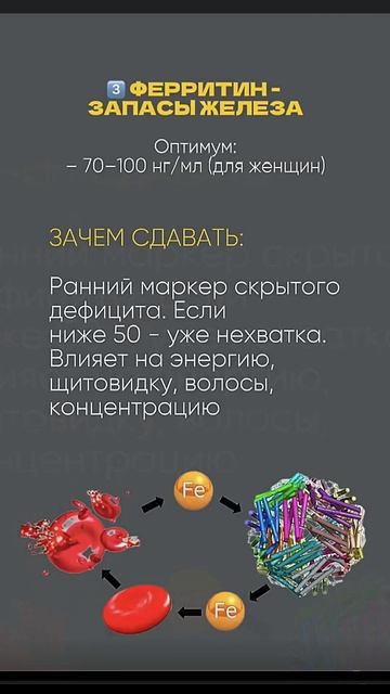 Ставь ➕ в комментариях