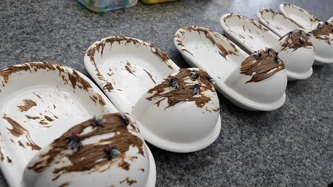 туалет и ванна...необычные пирожные набирают популярность в Корее