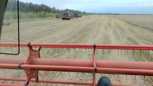 Обычный рабочий день 🌾🌾🌾