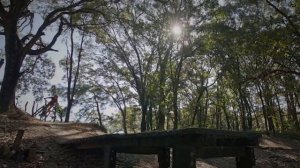 УХОДИЛО ЛЕТО. Стихи. А. Васильченко, музыка, ар. В. Мутовин,вокал. Л. Великанова,звук.А.Макалиш