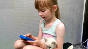 Пол это лава _ спасение котенка