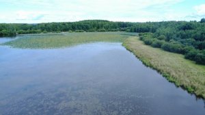 ХАБАРОВСКИЙ КРАЙ ОЗЕРО ЛОТОСЫ 4К