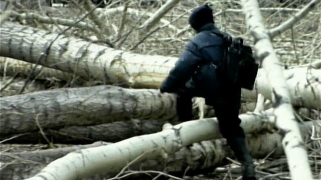 1999 год. Тюмень. Вырубили тополя на Одесской