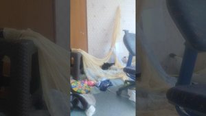 я и Как я играю с котом