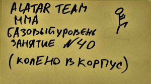 40 занятие по ММА взрослые (смешанные единоборства) Alatar team ᴸⁱᴹᵉ Денис Алаторцев
