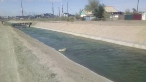 ДАЧНИК НЕУДАЧНИК 51 ГРЯЗЮНЬЧИК