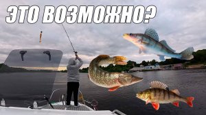 ПРО РЫБАЛКУ НА ФЕНИКСЕ 530)