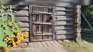 Мандроги. 05.08.2025г