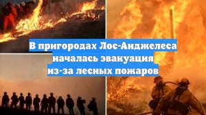 В пригородах Лос-Анджелеса началась эвакуация из-за лесных пожаров